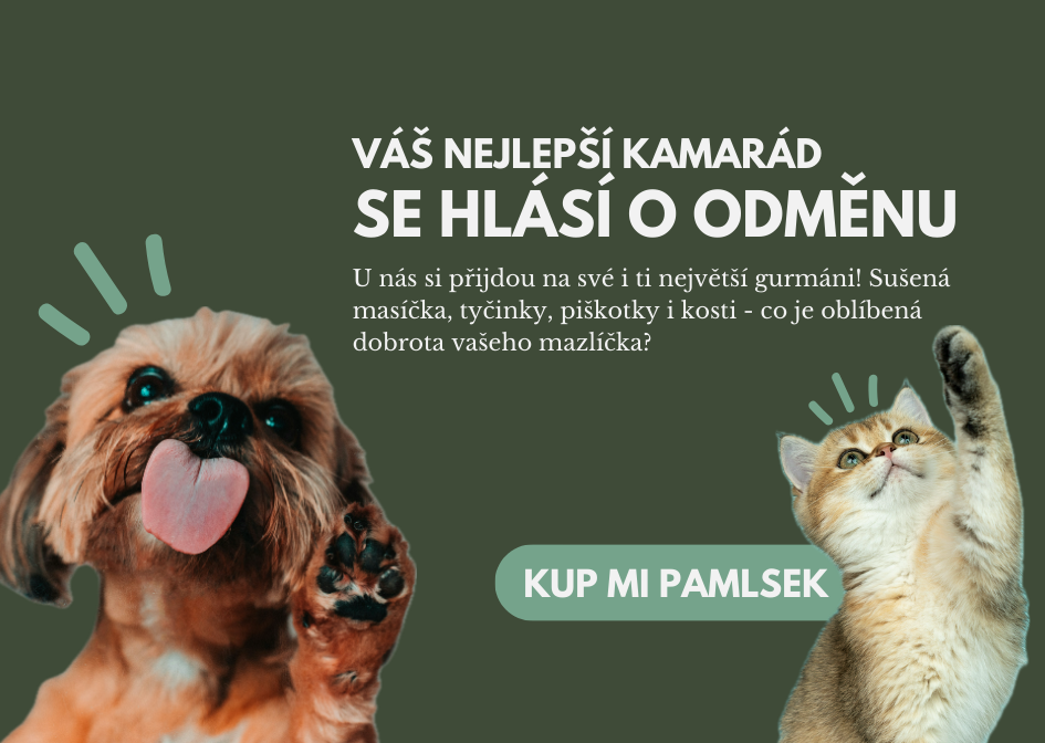 Pamlsky
